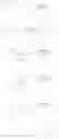 Fig. 321 - Modulators of sestrin-GATOR2 interaction and uses thereof
