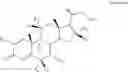 Fig. 19 - Process for the preparation of 17-desoxy-corticosteroids