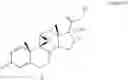 Fig. 23 - Process for the preparation of 17-desoxy-corticosteroids