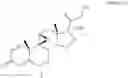 Fig. 24 - Process for the preparation of 17-desoxy-corticosteroids