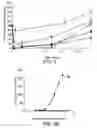 Fig. 02 - THERAPEUTIC AGENTS FOR REDUCING PARATHYROID HORMONE LEVELS