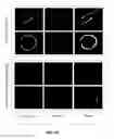 Fig. 09 - Compositions and Methods of Treatment of Cancers