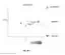 Fig. 45 - PEPTIDOMIMETIC MACROCYCLES AND USES THEREOF