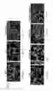 Fig. 09 - Attenuated recombinant vesicular stomatitis viruses comprising modified matrix proteins