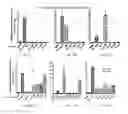 Fig. 34 - Attenuated recombinant vesicular stomatitis viruses comprising modified matrix proteins