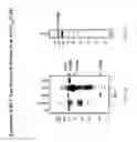 Fig. 41 - Attenuated recombinant vesicular stomatitis viruses comprising modified matrix proteins