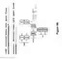 Fig. 09 - MULTISPECIFIC AND MULTIVALENT BINDING PROTEINS AND USES THEREOF