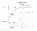 Fig. 32 - MULTISPECIFIC AND MULTIVALENT BINDING PROTEINS AND USES THEREOF