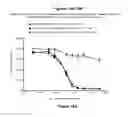 Fig. 37 - MULTISPECIFIC AND MULTIVALENT BINDING PROTEINS AND USES THEREOF