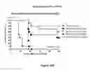Fig. 46 - MULTISPECIFIC AND MULTIVALENT BINDING PROTEINS AND USES THEREOF