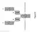 Fig. 48 - MULTISPECIFIC AND MULTIVALENT BINDING PROTEINS AND USES THEREOF