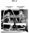 Fig. 07 - Apparatus for clearing tissue using electrophoresis