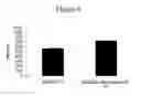 Fig. 09 - Reduced genome bacteria with improved genetic stability