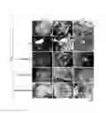 Fig. 02 - Culture medium for pluripotent stem cells
