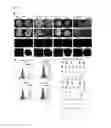 Fig. 06 - Culture medium for pluripotent stem cells