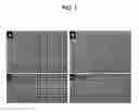 Fig. 02 - Proliferative primary human Sertoli cell cultures and their applications