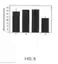 Fig. 06 - Proliferative primary human Sertoli cell cultures and their applications