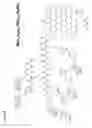 Fig. 09 - POLYNUCLEOTIDE CONSTRUCTS HAVING BIOREVERSIBLE AND NON-BIOREVERSIBLE GROUPS