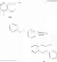 Fig. 114 - POLYNUCLEOTIDE CONSTRUCTS HAVING BIOREVERSIBLE AND NON-BIOREVERSIBLE GROUPS