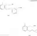 Fig. 123 - POLYNUCLEOTIDE CONSTRUCTS HAVING BIOREVERSIBLE AND NON-BIOREVERSIBLE GROUPS