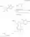 Fig. 136 - POLYNUCLEOTIDE CONSTRUCTS HAVING BIOREVERSIBLE AND NON-BIOREVERSIBLE GROUPS