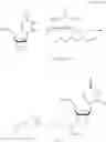 Fig. 152 - POLYNUCLEOTIDE CONSTRUCTS HAVING BIOREVERSIBLE AND NON-BIOREVERSIBLE GROUPS