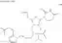 Fig. 191 - POLYNUCLEOTIDE CONSTRUCTS HAVING BIOREVERSIBLE AND NON-BIOREVERSIBLE GROUPS