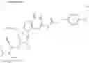 Fig. 194 - POLYNUCLEOTIDE CONSTRUCTS HAVING BIOREVERSIBLE AND NON-BIOREVERSIBLE GROUPS