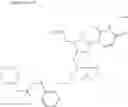 Fig. 202 - POLYNUCLEOTIDE CONSTRUCTS HAVING BIOREVERSIBLE AND NON-BIOREVERSIBLE GROUPS