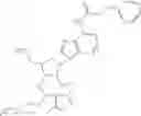 Fig. 206 - POLYNUCLEOTIDE CONSTRUCTS HAVING BIOREVERSIBLE AND NON-BIOREVERSIBLE GROUPS