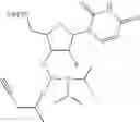 Fig. 208 - POLYNUCLEOTIDE CONSTRUCTS HAVING BIOREVERSIBLE AND NON-BIOREVERSIBLE GROUPS