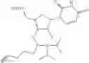 Fig. 209 - POLYNUCLEOTIDE CONSTRUCTS HAVING BIOREVERSIBLE AND NON-BIOREVERSIBLE GROUPS