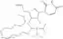 Fig. 211 - POLYNUCLEOTIDE CONSTRUCTS HAVING BIOREVERSIBLE AND NON-BIOREVERSIBLE GROUPS