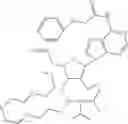 Fig. 212 - POLYNUCLEOTIDE CONSTRUCTS HAVING BIOREVERSIBLE AND NON-BIOREVERSIBLE GROUPS