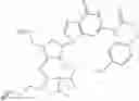 Fig. 213 - POLYNUCLEOTIDE CONSTRUCTS HAVING BIOREVERSIBLE AND NON-BIOREVERSIBLE GROUPS