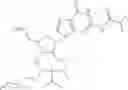 Fig. 214 - POLYNUCLEOTIDE CONSTRUCTS HAVING BIOREVERSIBLE AND NON-BIOREVERSIBLE GROUPS