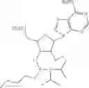 Fig. 215 - POLYNUCLEOTIDE CONSTRUCTS HAVING BIOREVERSIBLE AND NON-BIOREVERSIBLE GROUPS