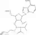 Fig. 216 - POLYNUCLEOTIDE CONSTRUCTS HAVING BIOREVERSIBLE AND NON-BIOREVERSIBLE GROUPS