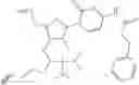 Fig. 217 - POLYNUCLEOTIDE CONSTRUCTS HAVING BIOREVERSIBLE AND NON-BIOREVERSIBLE GROUPS