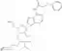 Fig. 218 - POLYNUCLEOTIDE CONSTRUCTS HAVING BIOREVERSIBLE AND NON-BIOREVERSIBLE GROUPS