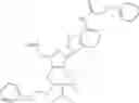 Fig. 219 - POLYNUCLEOTIDE CONSTRUCTS HAVING BIOREVERSIBLE AND NON-BIOREVERSIBLE GROUPS