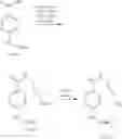 Fig. 228 - POLYNUCLEOTIDE CONSTRUCTS HAVING BIOREVERSIBLE AND NON-BIOREVERSIBLE GROUPS