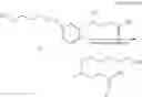 Fig. 39 - POLYNUCLEOTIDE CONSTRUCTS HAVING BIOREVERSIBLE AND NON-BIOREVERSIBLE GROUPS