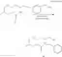 Fig. 40 - POLYNUCLEOTIDE CONSTRUCTS HAVING BIOREVERSIBLE AND NON-BIOREVERSIBLE GROUPS