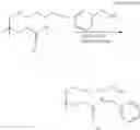 Fig. 42 - POLYNUCLEOTIDE CONSTRUCTS HAVING BIOREVERSIBLE AND NON-BIOREVERSIBLE GROUPS