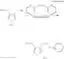 Fig. 48 - POLYNUCLEOTIDE CONSTRUCTS HAVING BIOREVERSIBLE AND NON-BIOREVERSIBLE GROUPS