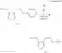 Fig. 49 - POLYNUCLEOTIDE CONSTRUCTS HAVING BIOREVERSIBLE AND NON-BIOREVERSIBLE GROUPS
