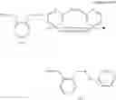 Fig. 53 - POLYNUCLEOTIDE CONSTRUCTS HAVING BIOREVERSIBLE AND NON-BIOREVERSIBLE GROUPS