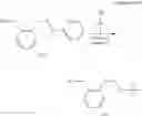 Fig. 54 - POLYNUCLEOTIDE CONSTRUCTS HAVING BIOREVERSIBLE AND NON-BIOREVERSIBLE GROUPS