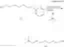 Fig. 56 - POLYNUCLEOTIDE CONSTRUCTS HAVING BIOREVERSIBLE AND NON-BIOREVERSIBLE GROUPS